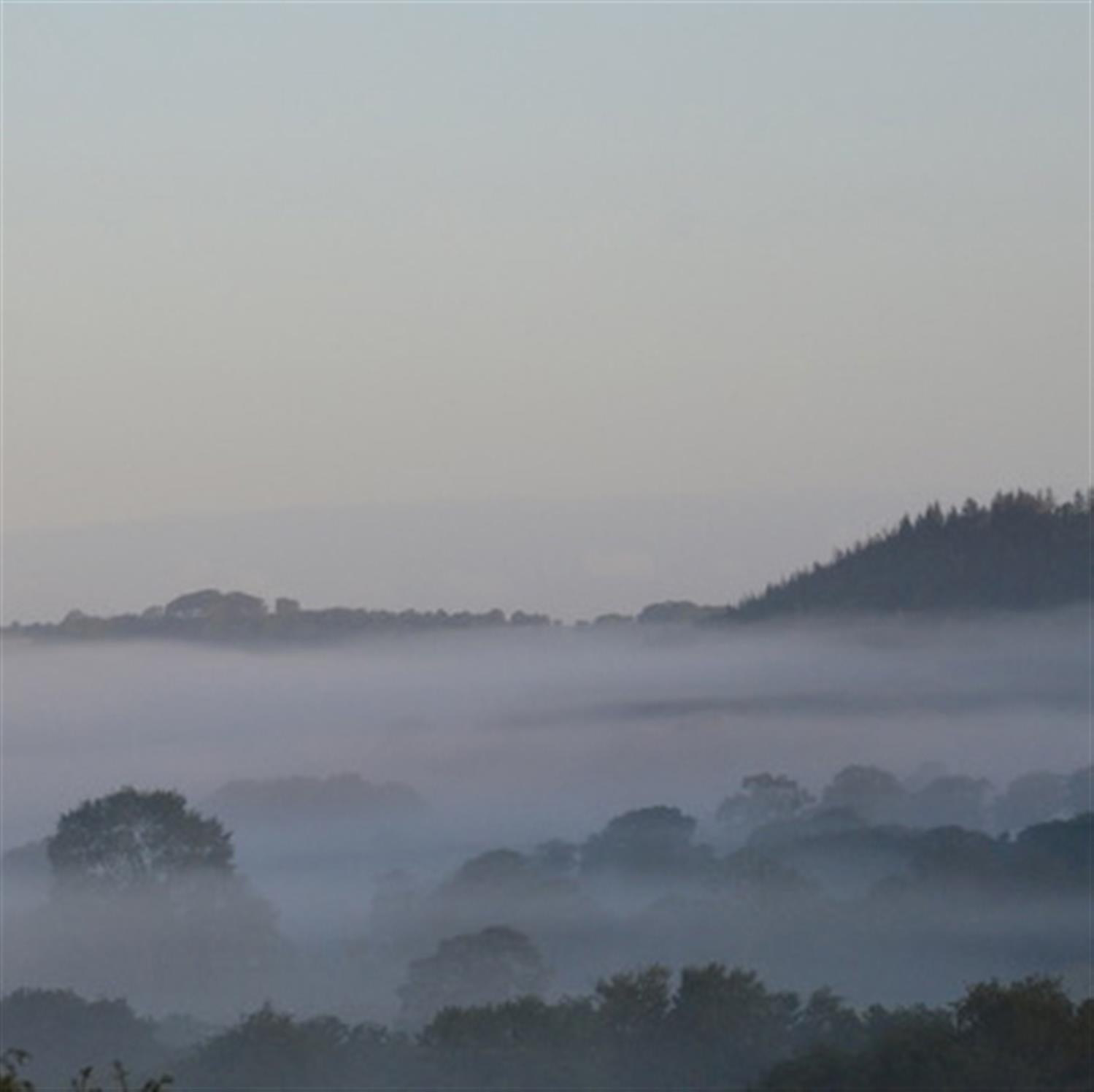 A soft indigo misty morning