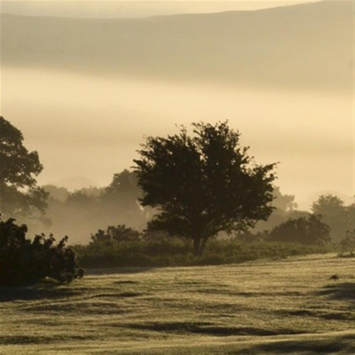 A warm misty day