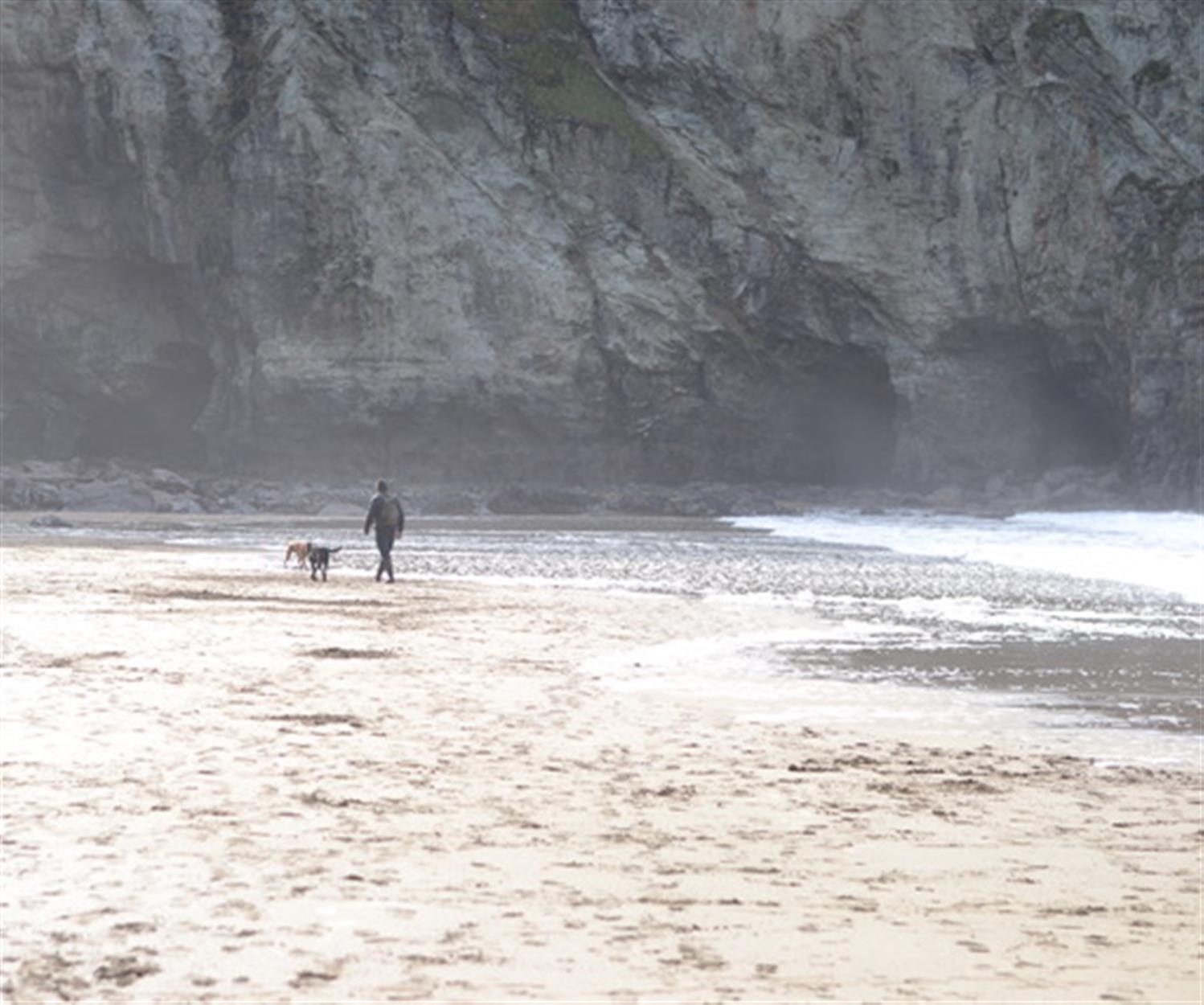 A carer walking their dog on a sandy beach